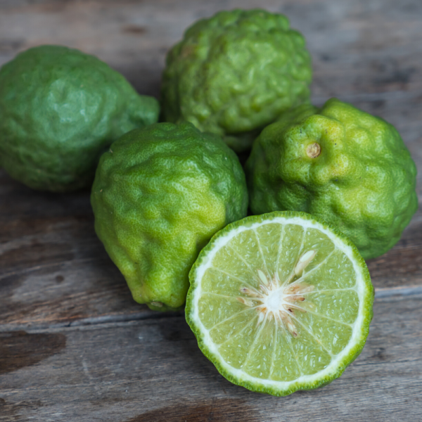 Absolute Aromas Bergamot Essential Oil 10ml - Image 3