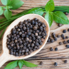 Absolute Aromas Pepper, Black Essential Oil 10ml - Image 2