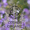 Absolute Aromas Organic Clary Sage Essential Oil 10ml - Image 4