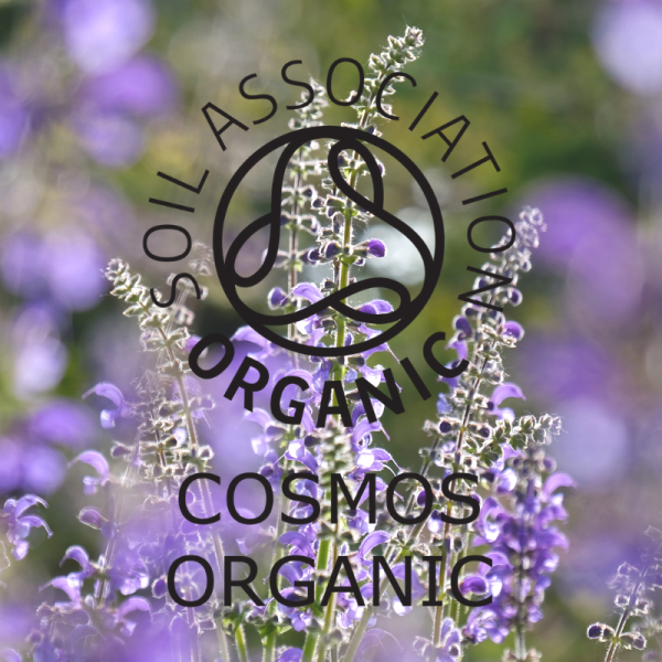 Absolute Aromas Organic Clary Sage Essential Oil 10ml - Image 4