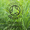 Absolute Aromas Organic Lemongrass Essential Oil 10ml - Image 4