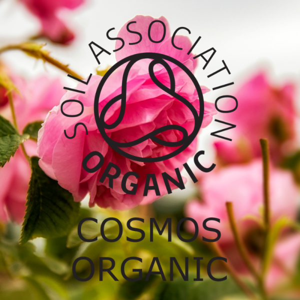 Absolute Aromas Organic Rose Otto 3% 10ml - Image 4