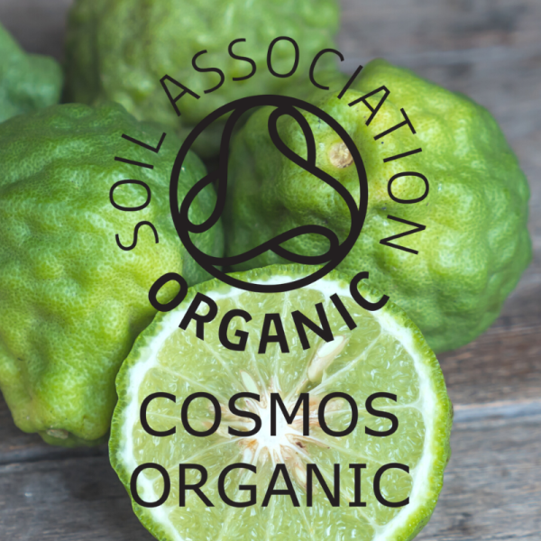 Absolute Aromas Organic Bergamot Essential Oil 10ml - Image 2