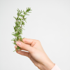 Absolute Aromas Rosemary Essential Oil 10ml - Image 3