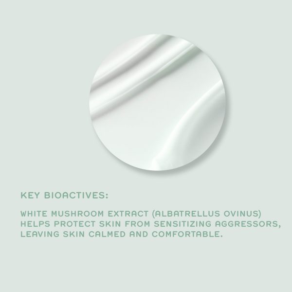REN Ultra Comforting Rescue Mask 50ml - Image 3