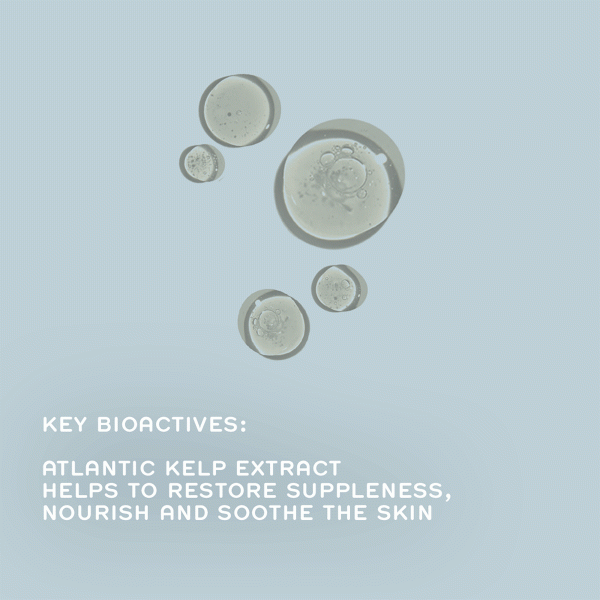 REN Atlantic Kelp Toning Body oil - Image 5