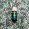 Absolute Aromas Pine, Scotch Essential Oil 10ml - Image 4