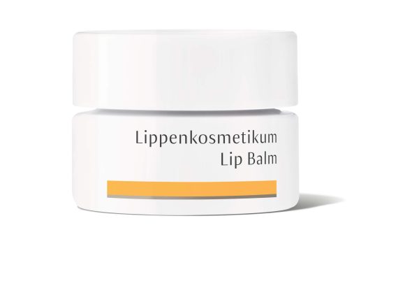 Dr Hauschka Lip Balm 4.5g