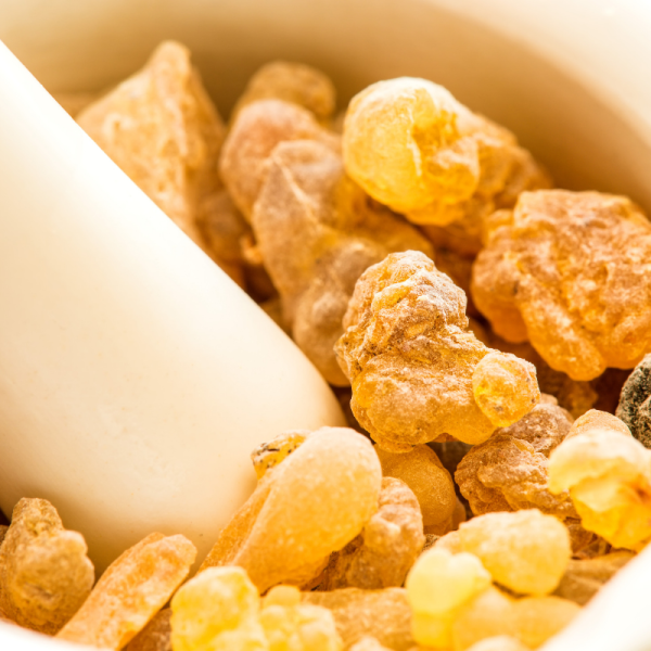 Absolute Aromas Frankincense Essential Oil 10ml - Image 4