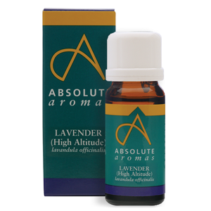 Absolute Aromas Lavender Essential Oil 10ml