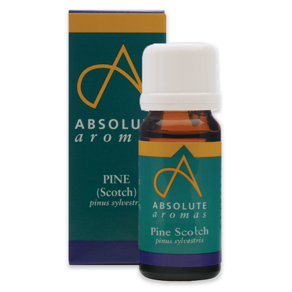 Absolute Aromas Pine, Scotch Essential Oil 10ml