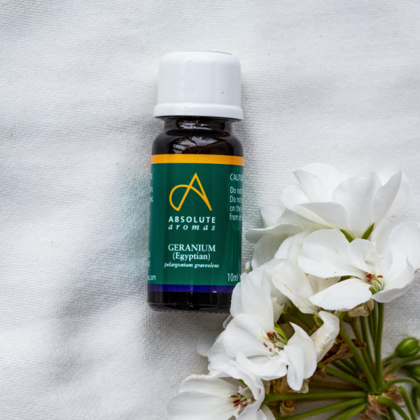 Absolute Aromas Geranium, Egyptian Essential Oil 10ml - Image 4