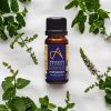 Absolute Aromas Organic Peppermint Essential Oil 10ml