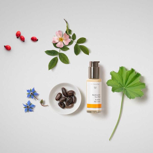 Dr Hauschka Soothing Day Lotion 50ml - Image 3