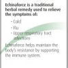 A Vogel Echinaforce Tincture 100ml - Image 4