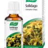 A Vogel Solidago Complex Tincture 50ml