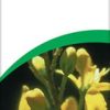 A Vogel Luffa Complex Tincture 50ml - Image 2
