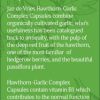 A Vogel Hawthorn Garlic Complex 90 Capsules - Image 4