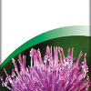 A Vogel Milk Thistle Complex Tincture 100ml