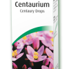 A Vogel Centaurium