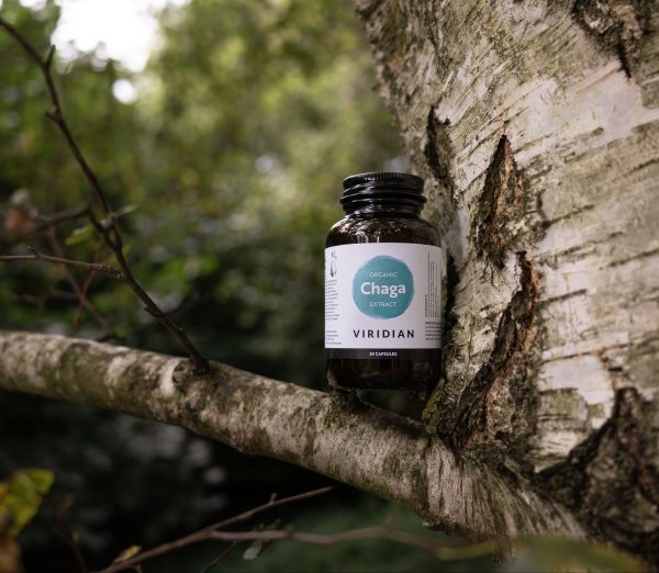 Viridian Organic Chaga Extract 30 Capsules - Image 2
