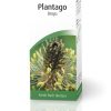 A Vogel Plantago Tincture 50ml