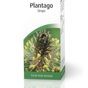 A Vogel Plantago Tincture 50ml