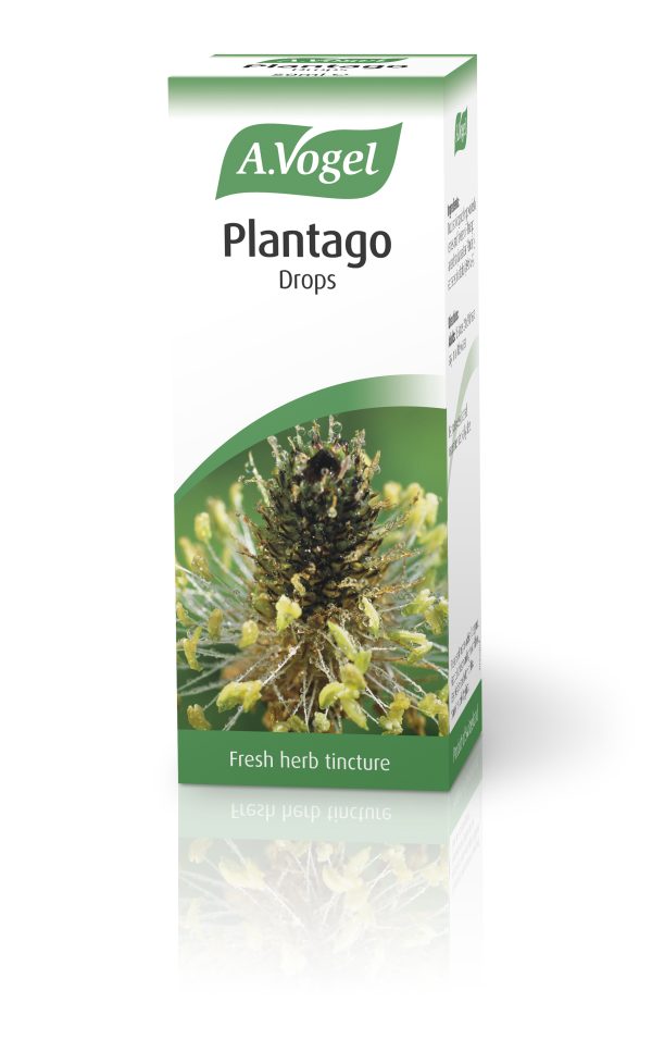 A Vogel Plantago Tincture 50ml