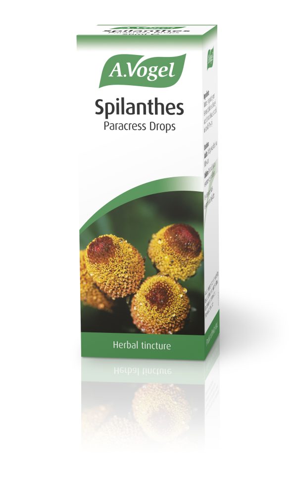 A Vogel Spilanthes Tincture 50ml