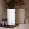 Absolute Aromas Spa Nebuliser Bamboo - Image 2