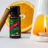 Absolute Aromas Noel Festive Blend 10ml - Image 3