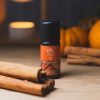 Absolute Aromas Spiced Citrus Festive Blend 10ml