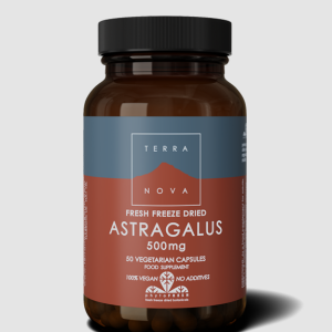 TerraNova Astragalus 500mg 50 Capsules