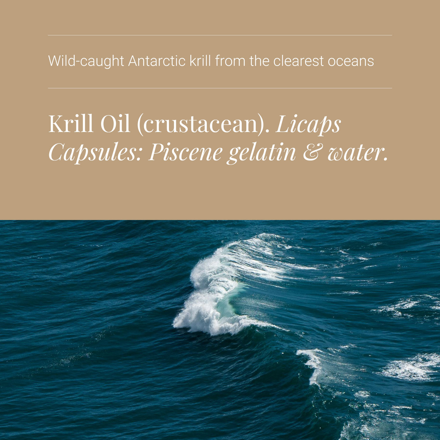 KIKI Health Krill Oil 30 Capsules - Image 5