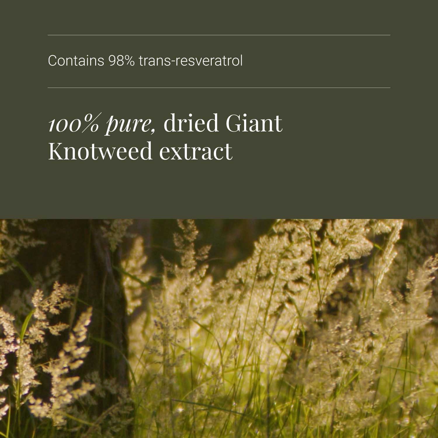 KIKI Health Resveratrol 60 Vegicaps - Image 6